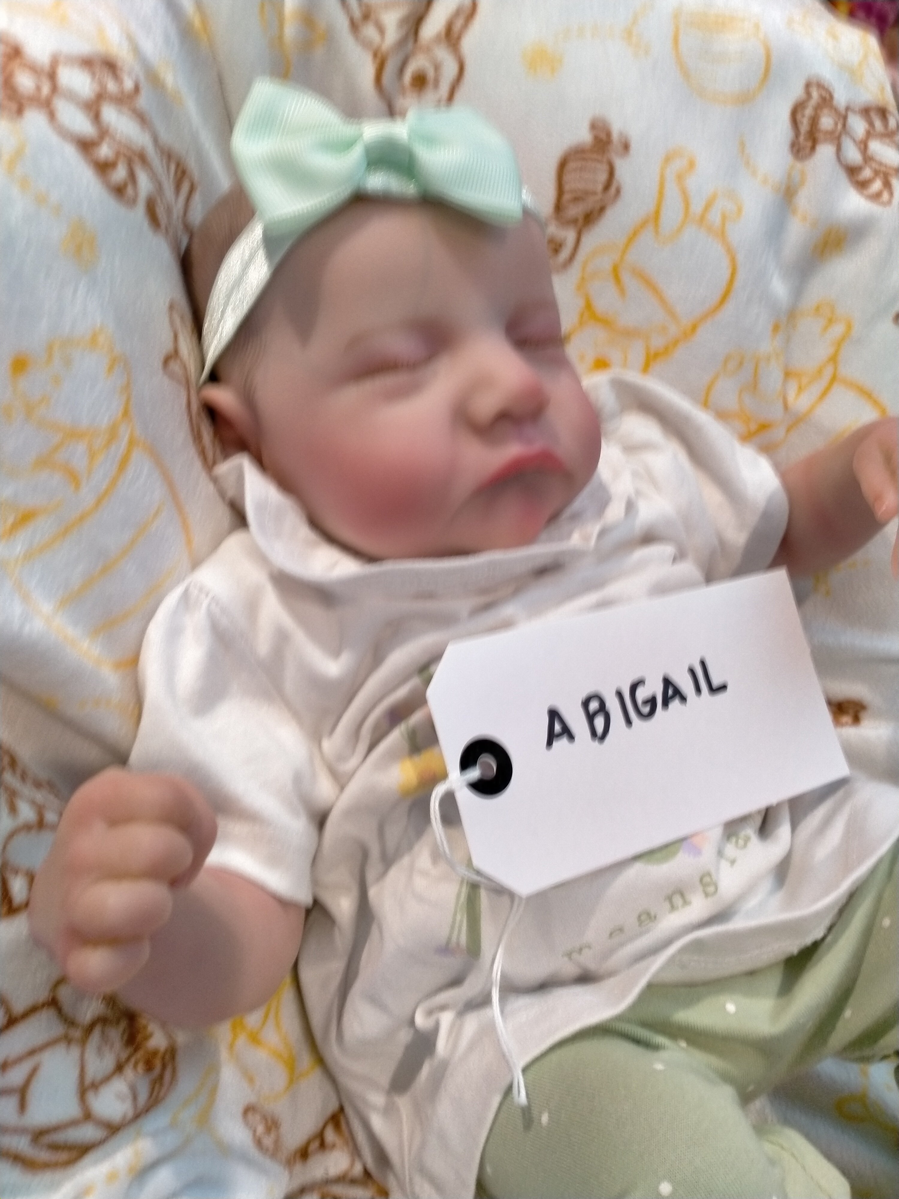 ABIGAIL ❤️Beautiful reborn doll girl.