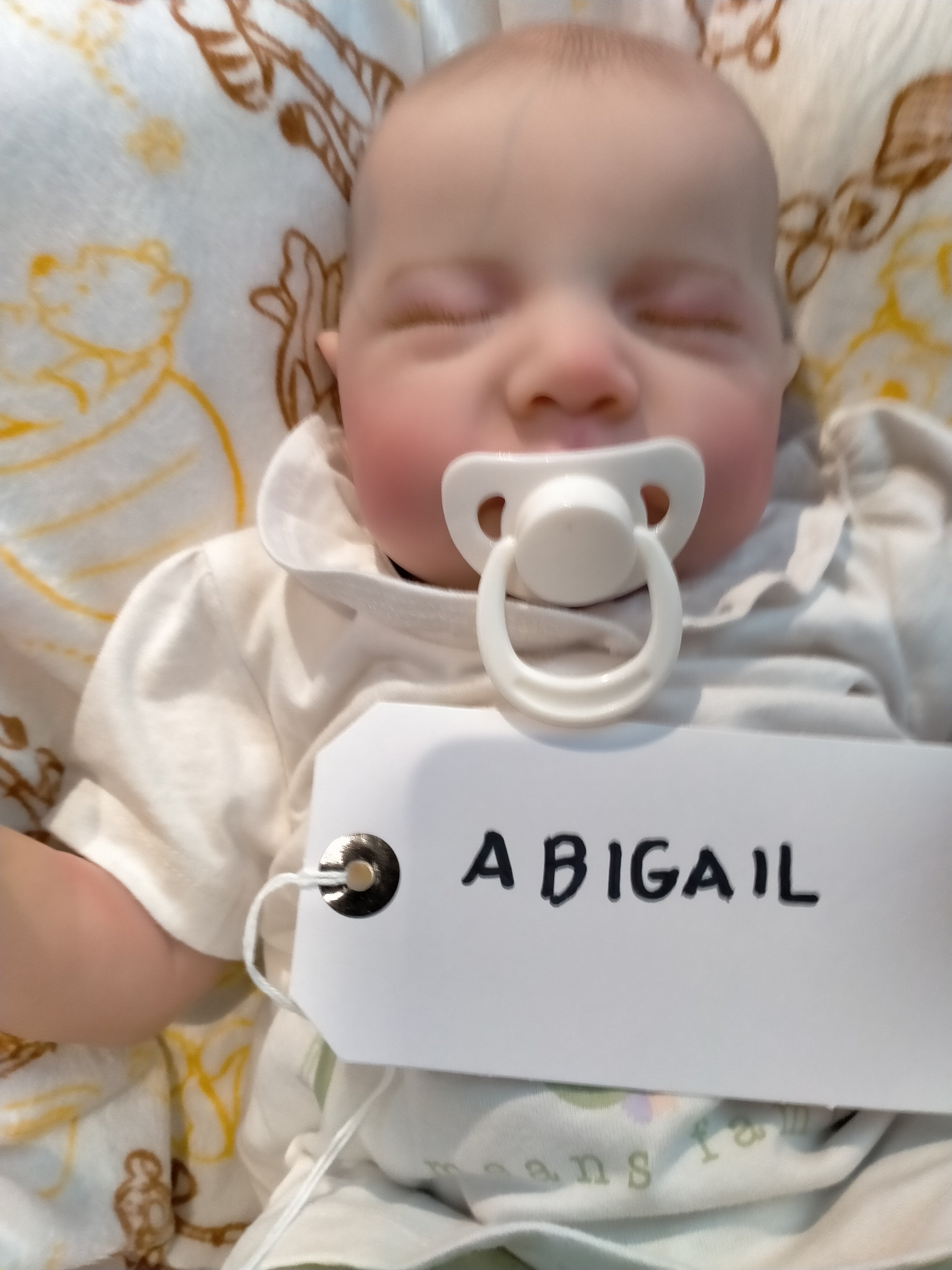 ABIGAIL ❤️Beautiful reborn doll girl.