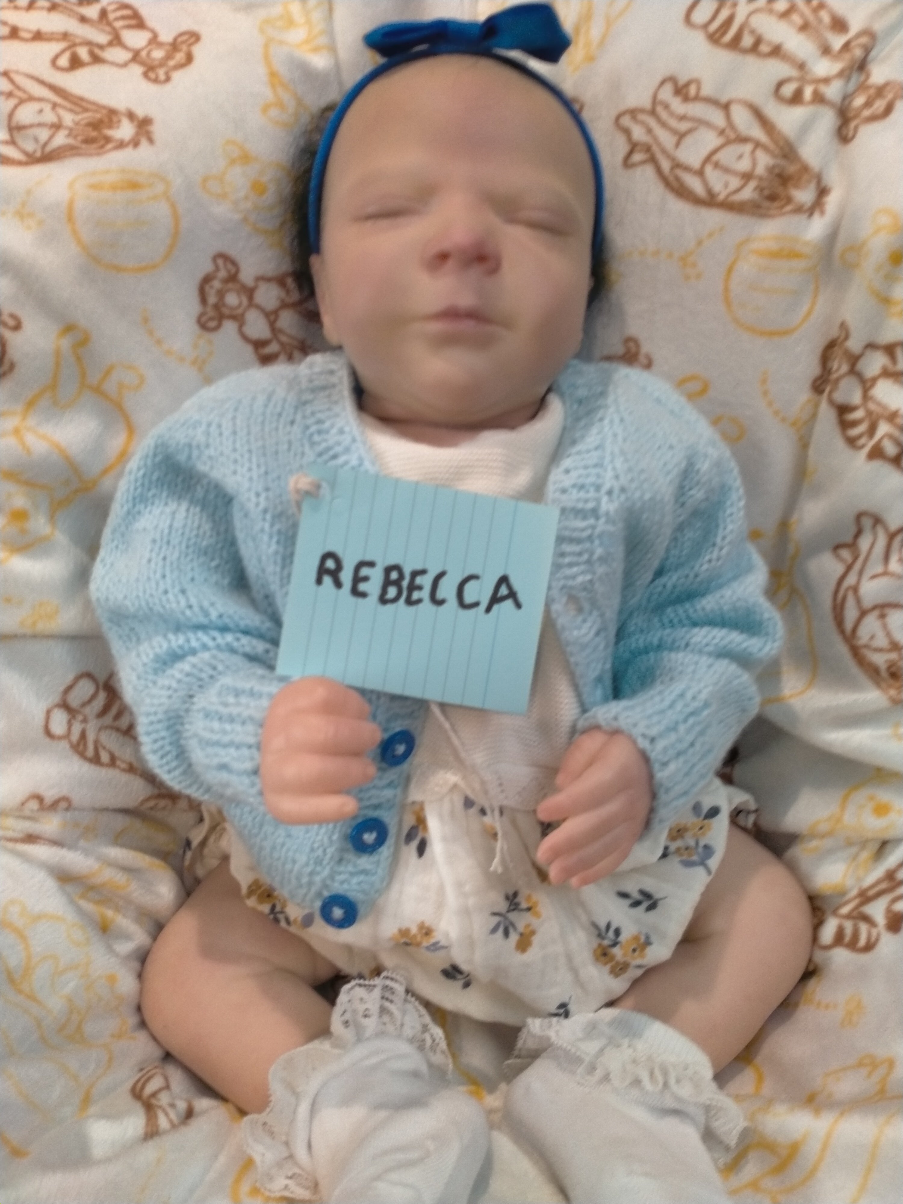 REBECCA reborn girl Bountiful baby nicely weighted