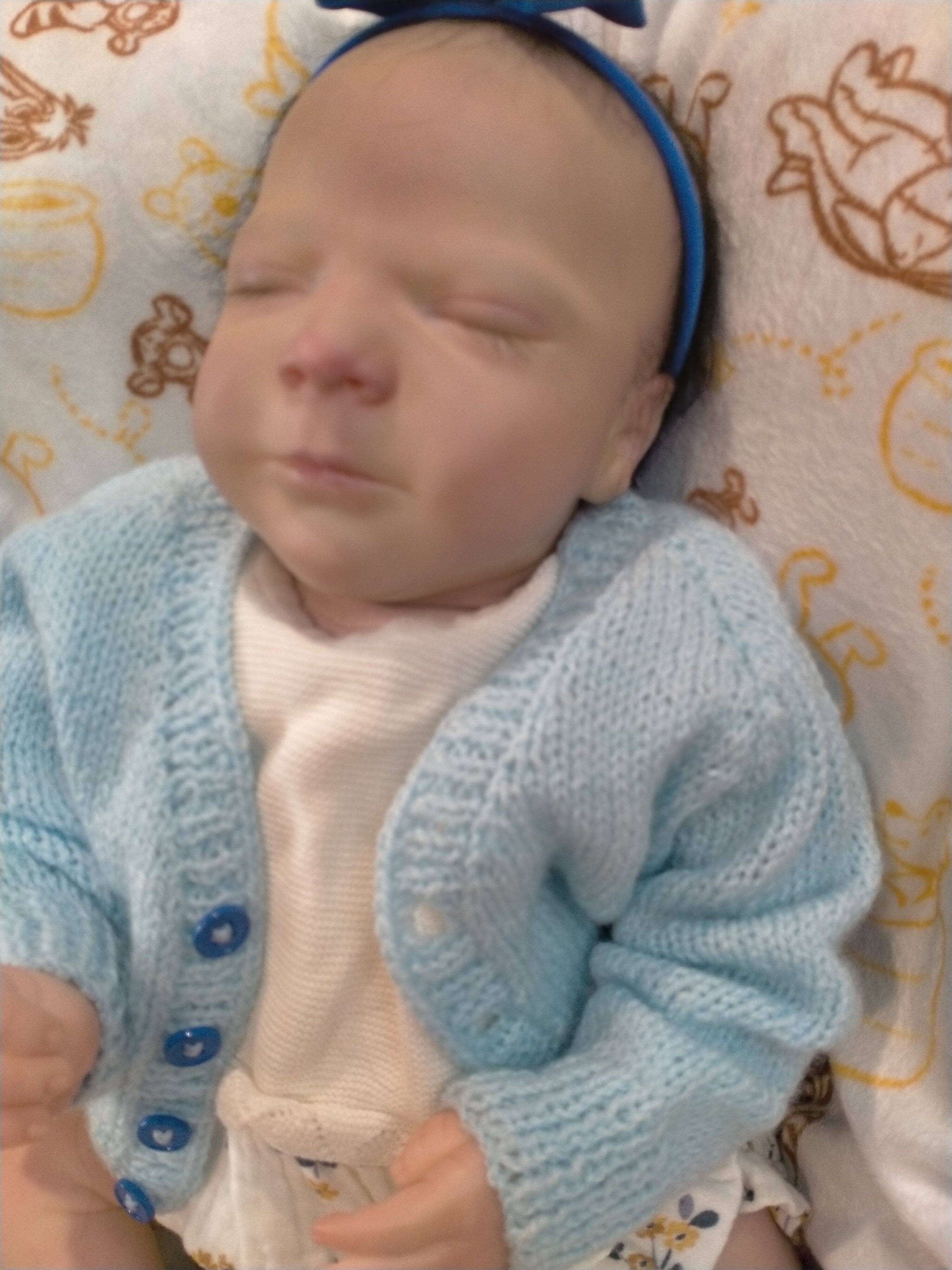 REBECCA reborn girl Bountiful baby nicely weighted