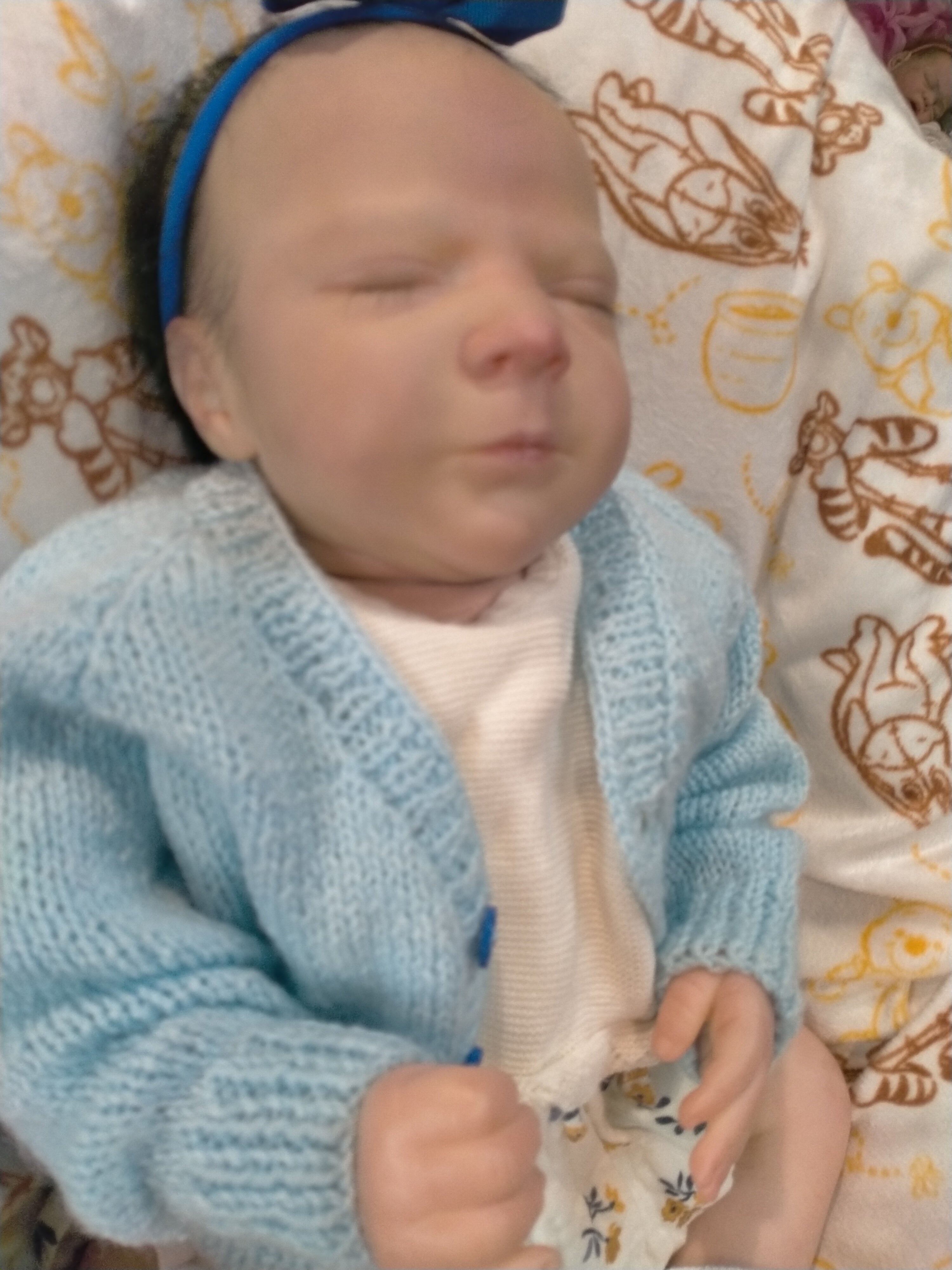 REBECCA reborn girl Bountiful baby nicely weighted