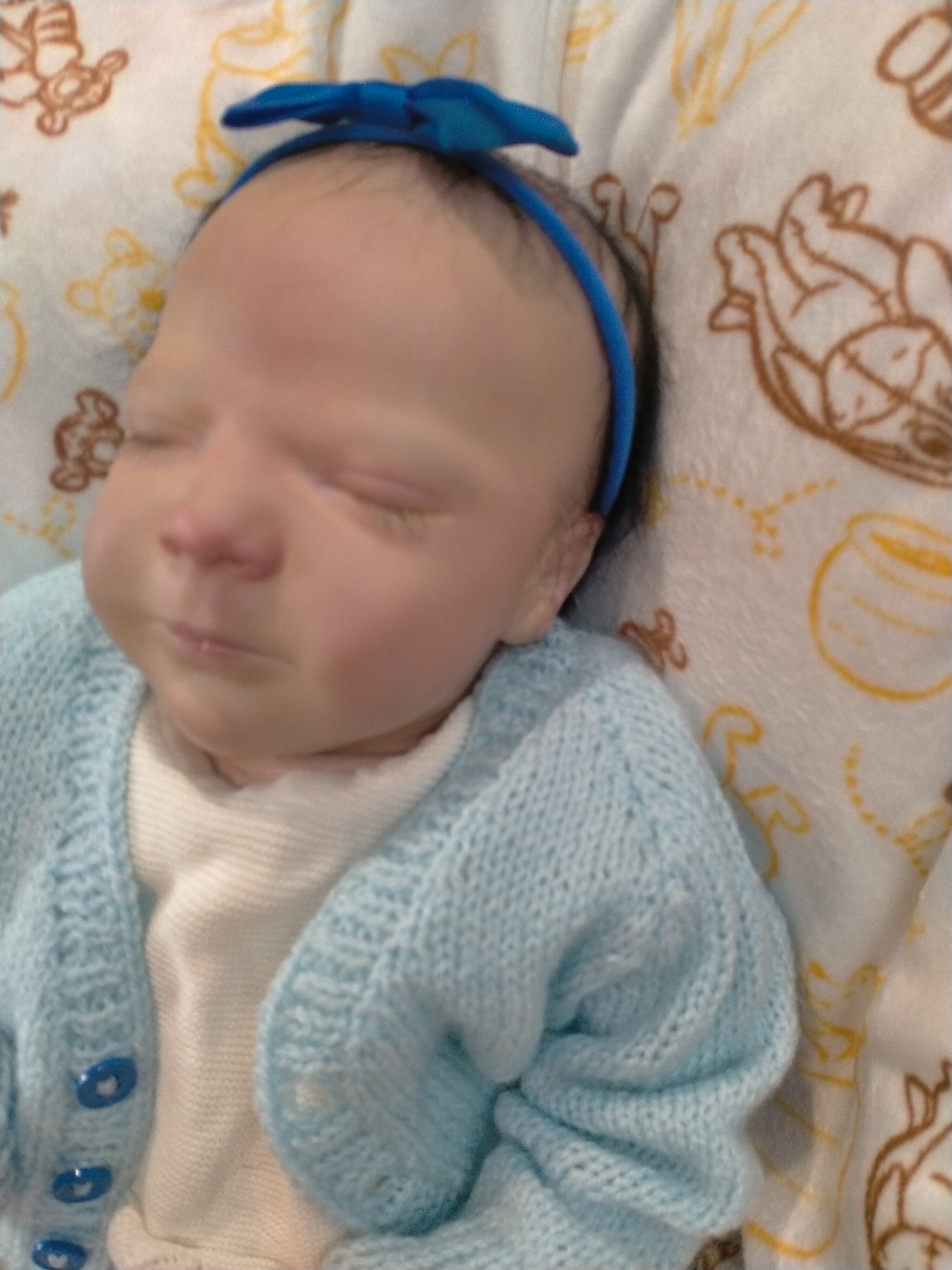 REBECCA reborn girl Bountiful baby nicely weighted