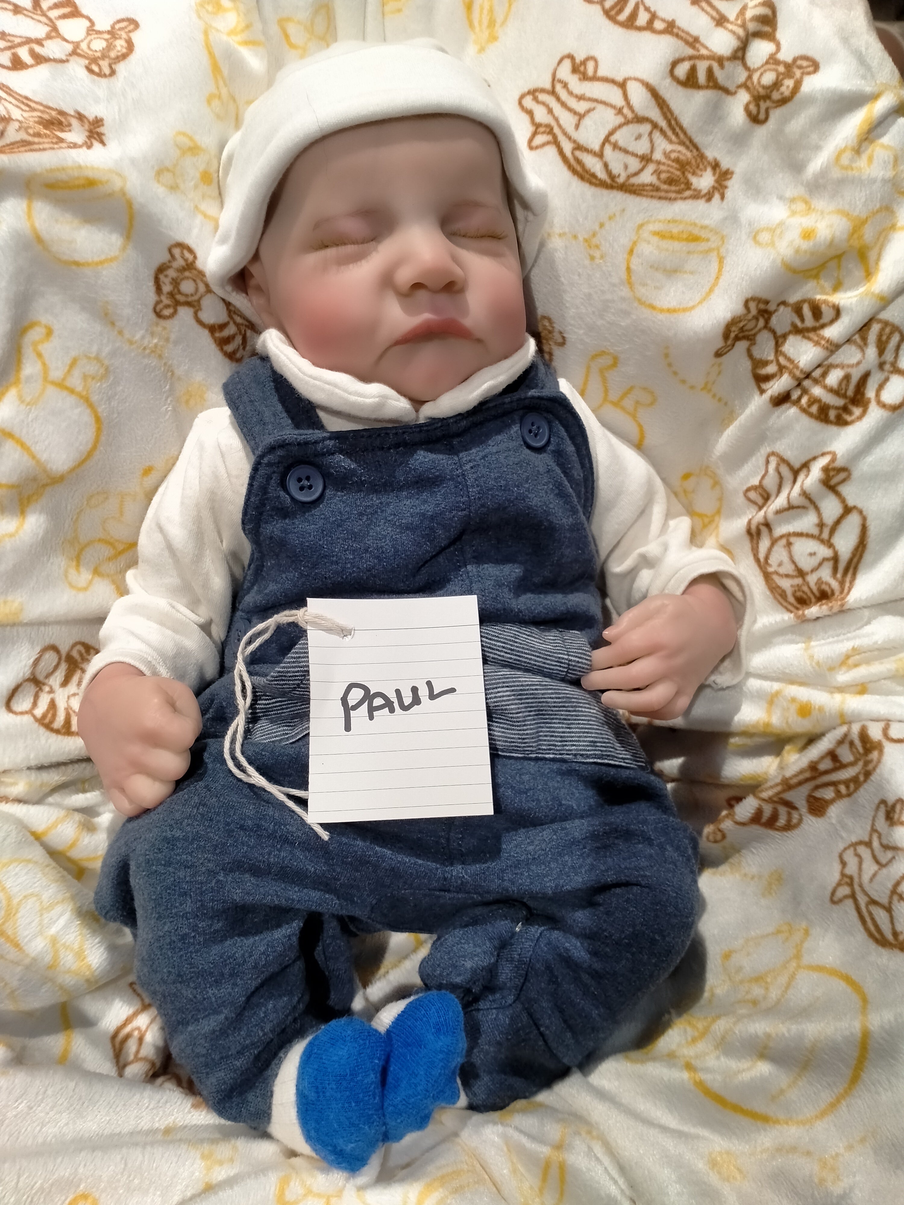 PAUL Cute reborn Doll boy Professionally weighted