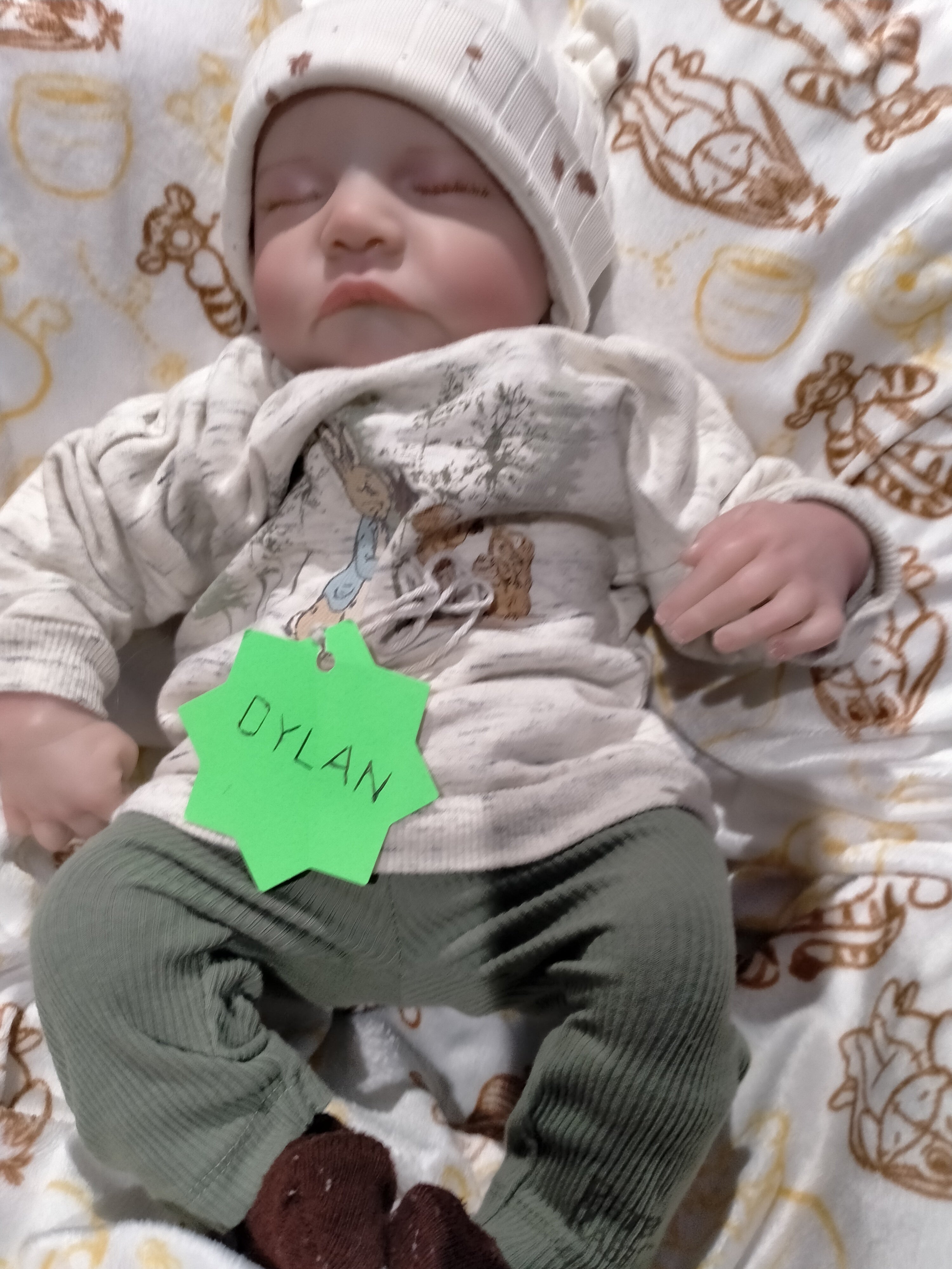 DYLAN Cute reborn Doll boy Professionally weighted