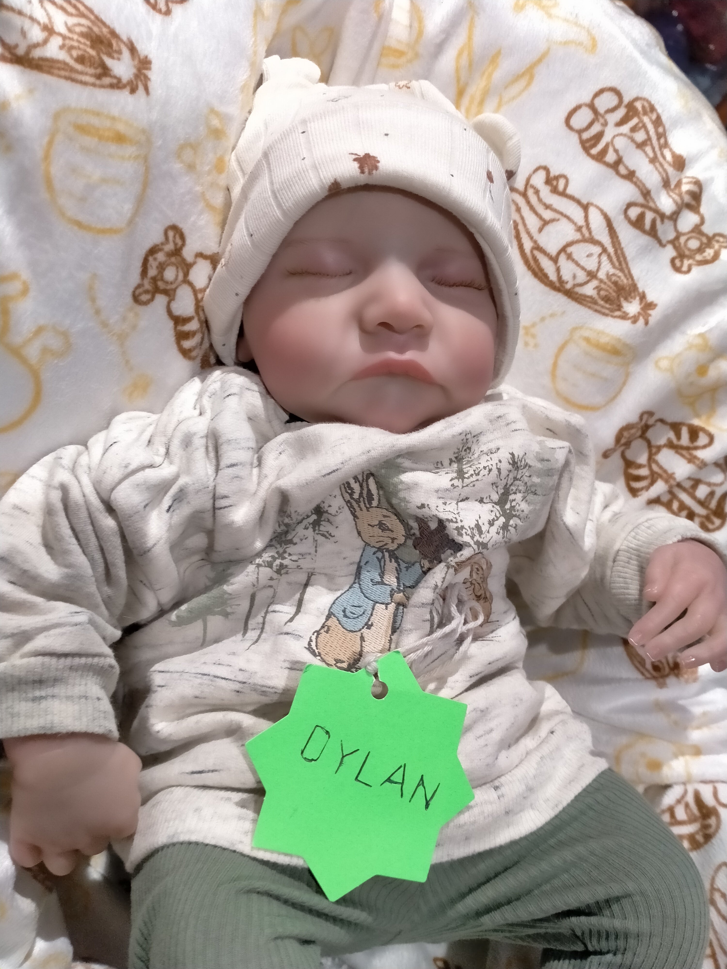 DYLAN Cute reborn Doll boy Professionally weighted