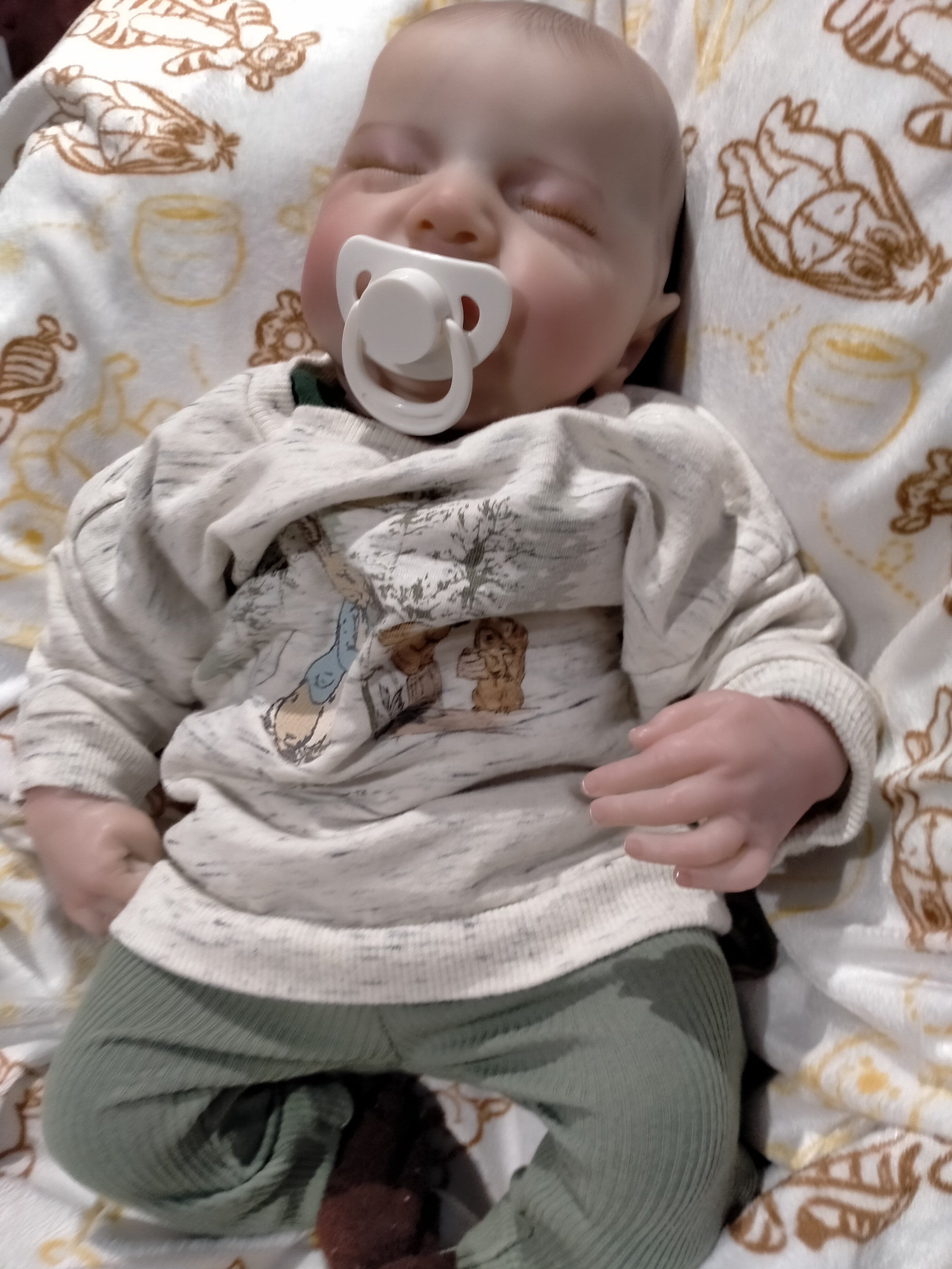 DYLAN Cute reborn Doll boy Professionally weighted