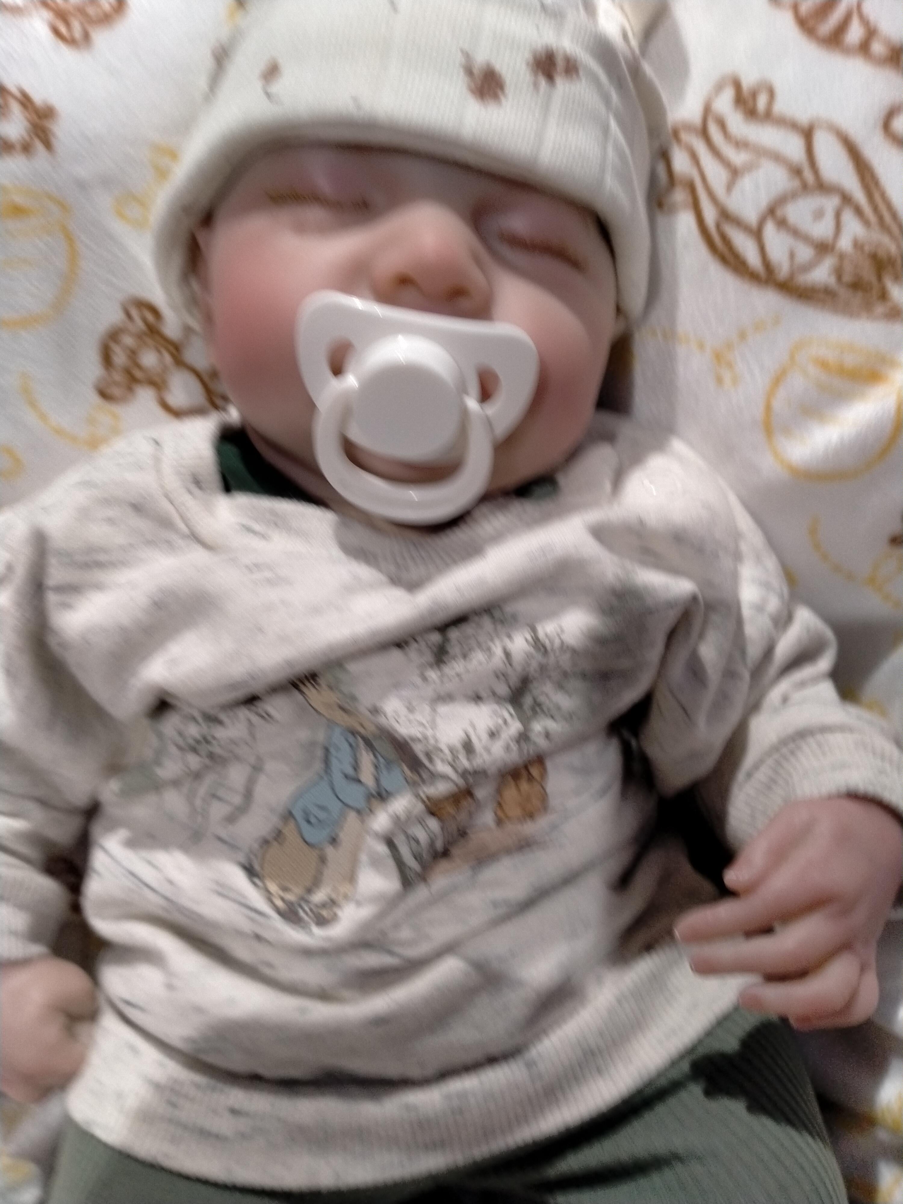 DYLAN Cute reborn Doll boy Professionally weighted