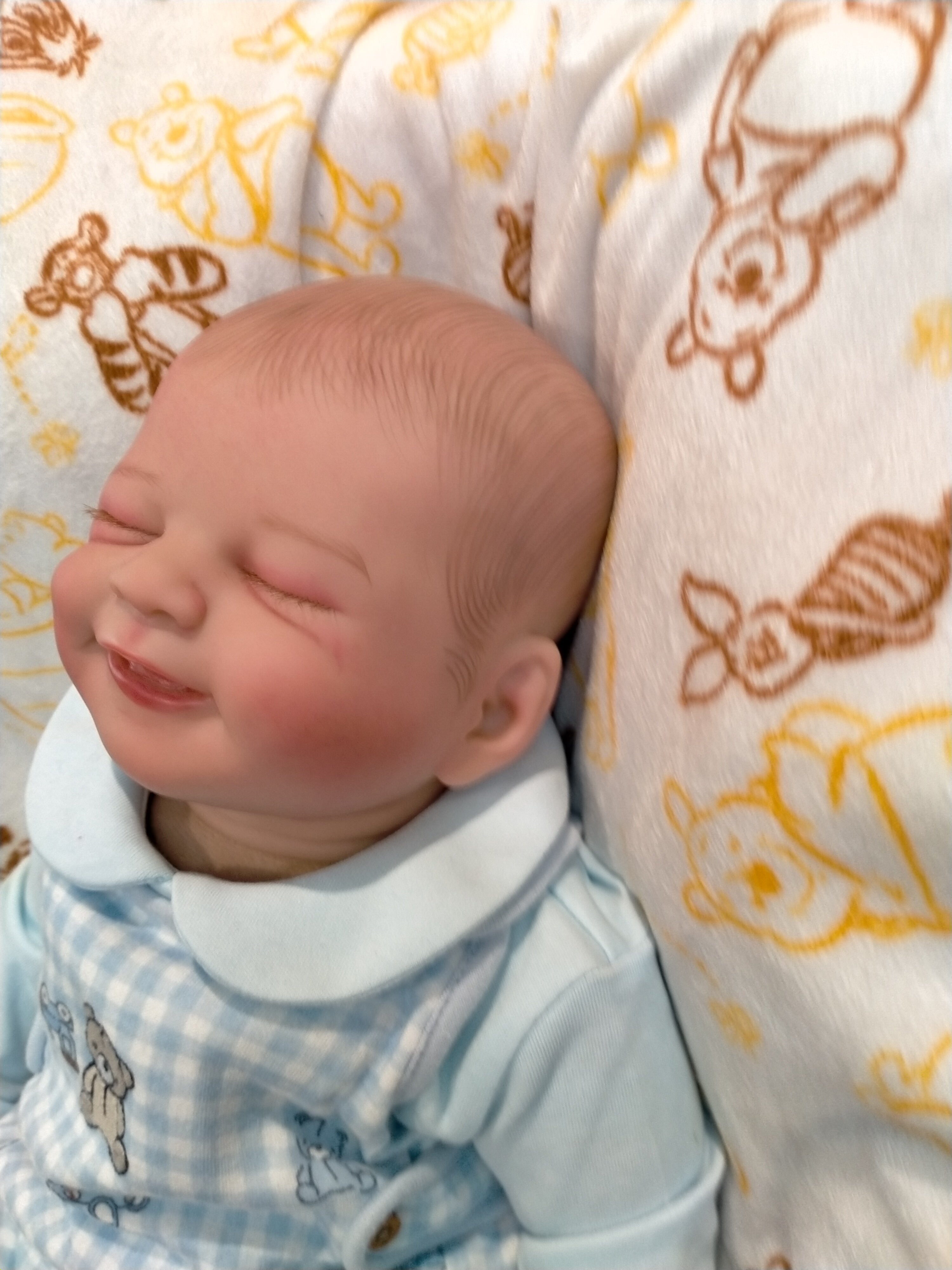 BENNY Charming reborn Doll boy  Professionally weighted