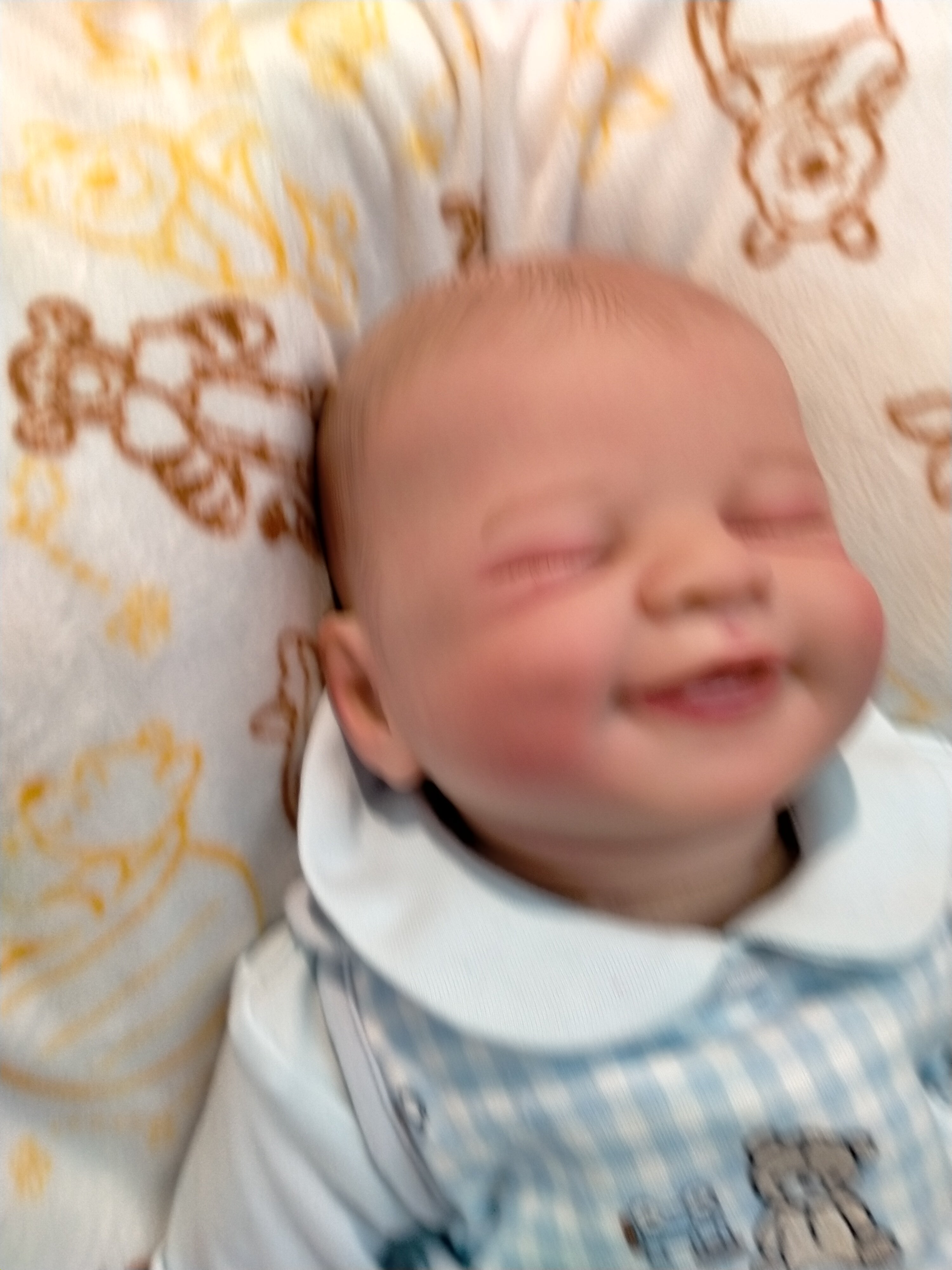 BENNY Charming reborn Doll boy  Professionally weighted