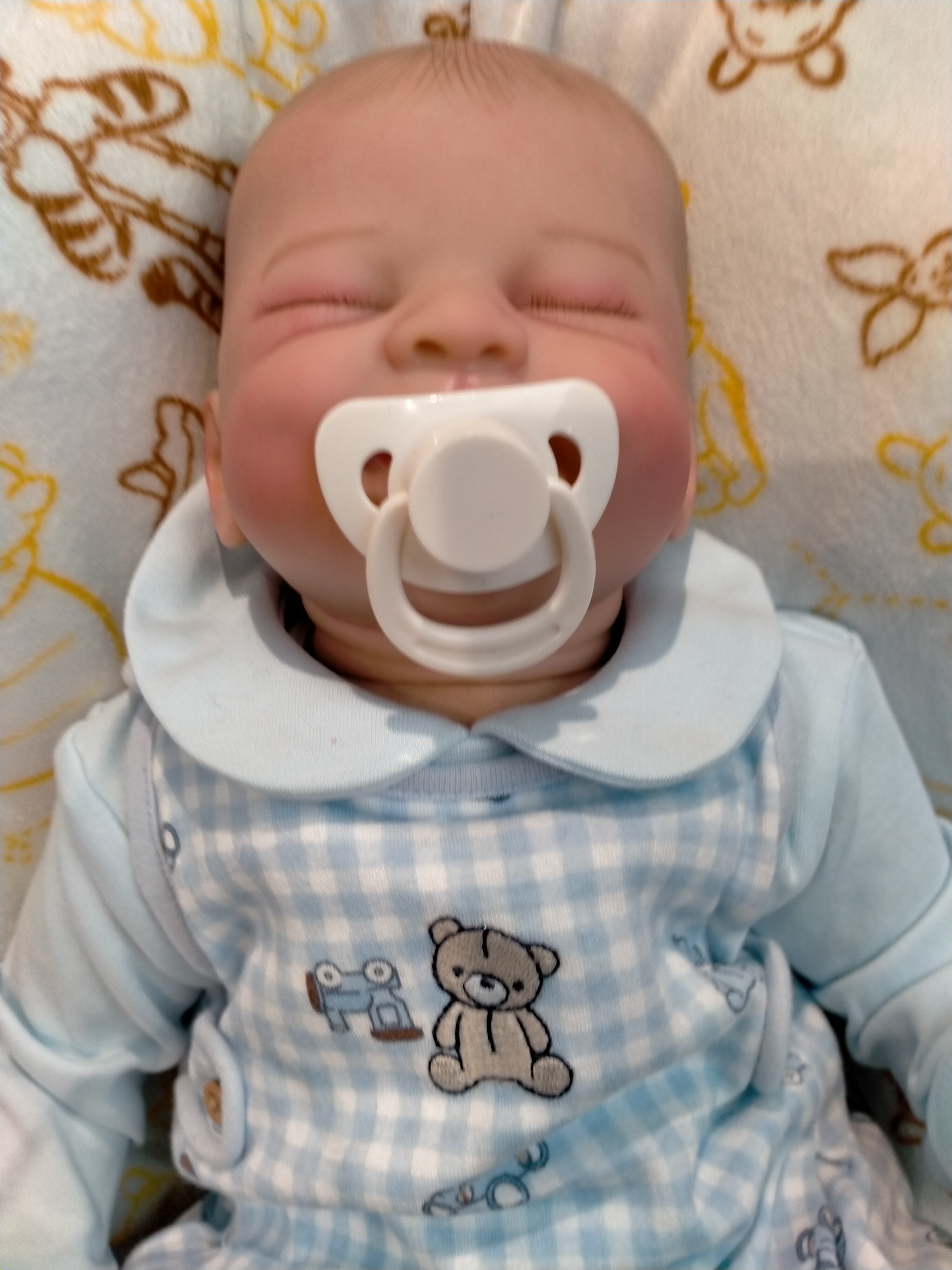 BENNY Charming reborn Doll boy  Professionally weighted