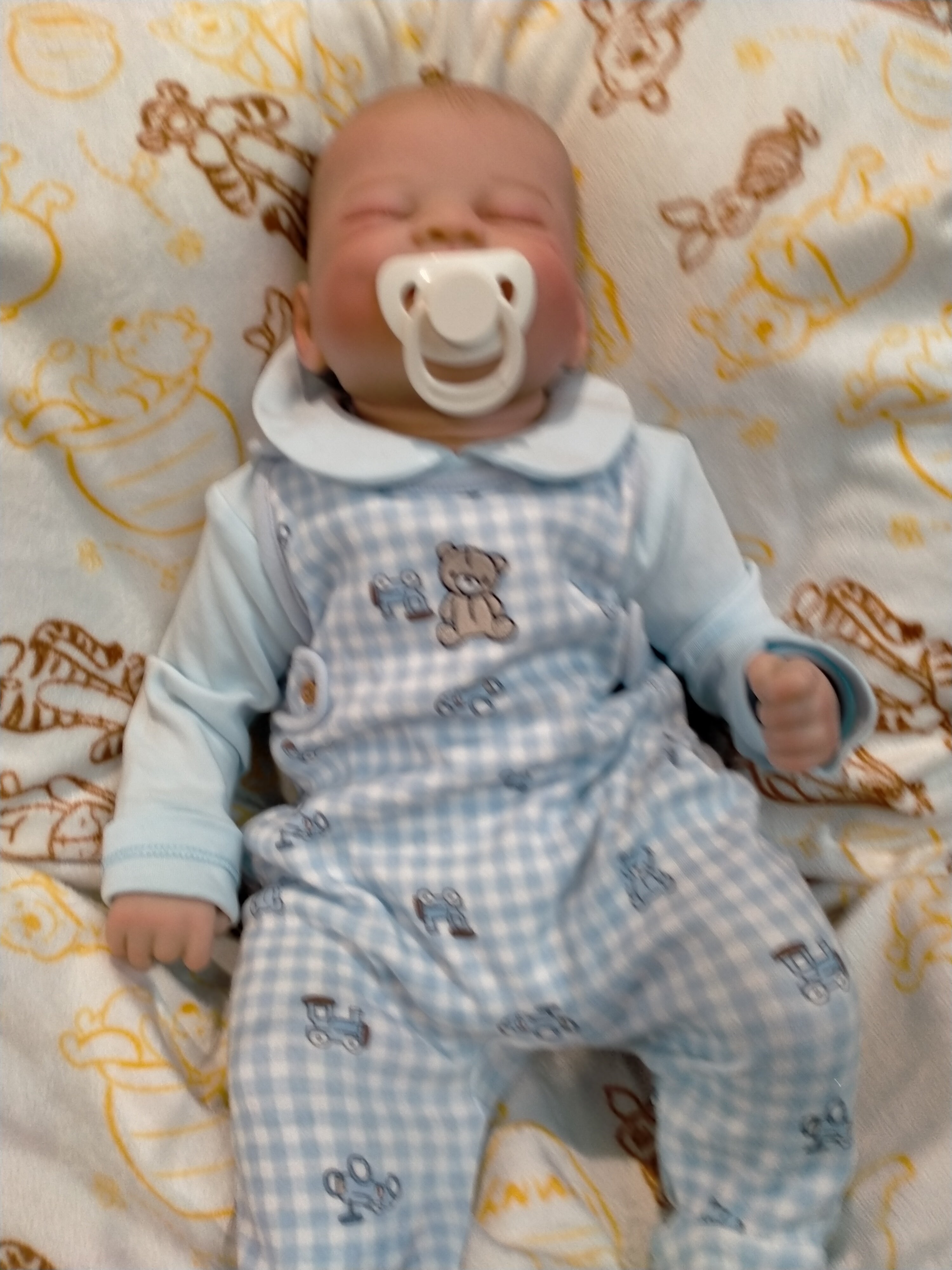 BENNY Charming reborn Doll boy  Professionally weighted