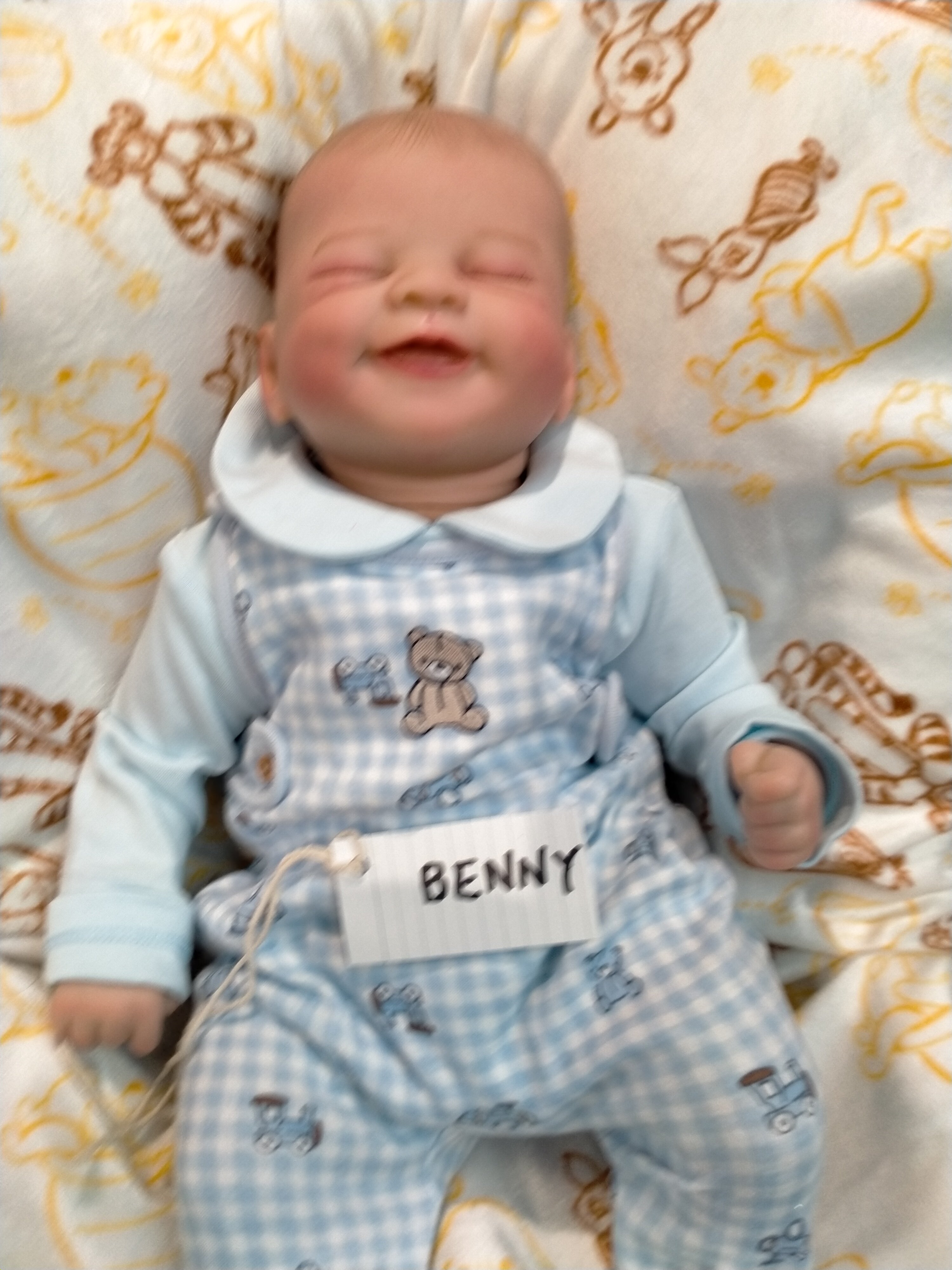 BENNY Charming reborn Doll boy  Professionally weighted
