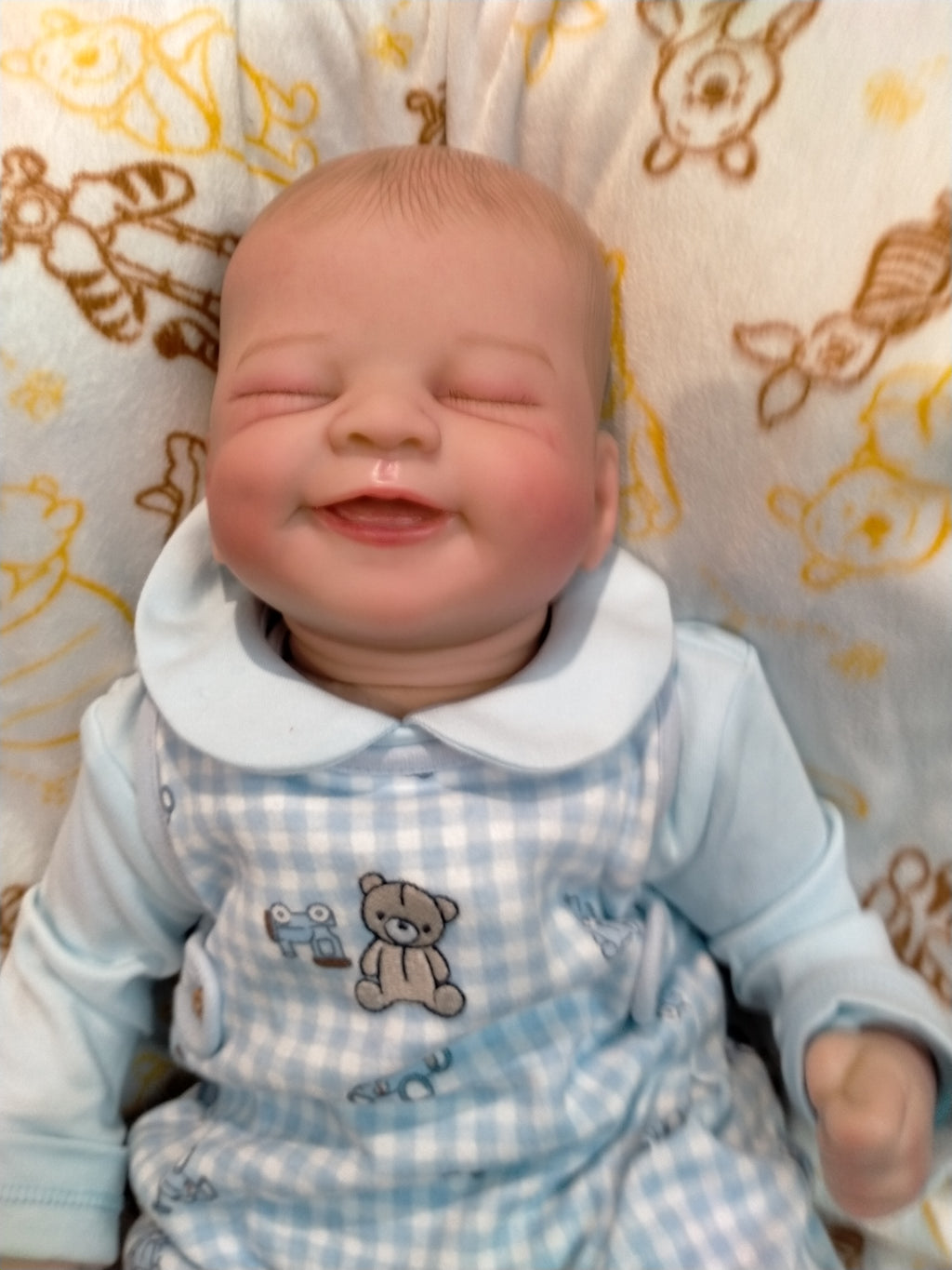BENNY Charming reborn Doll boy  Professionally weighted