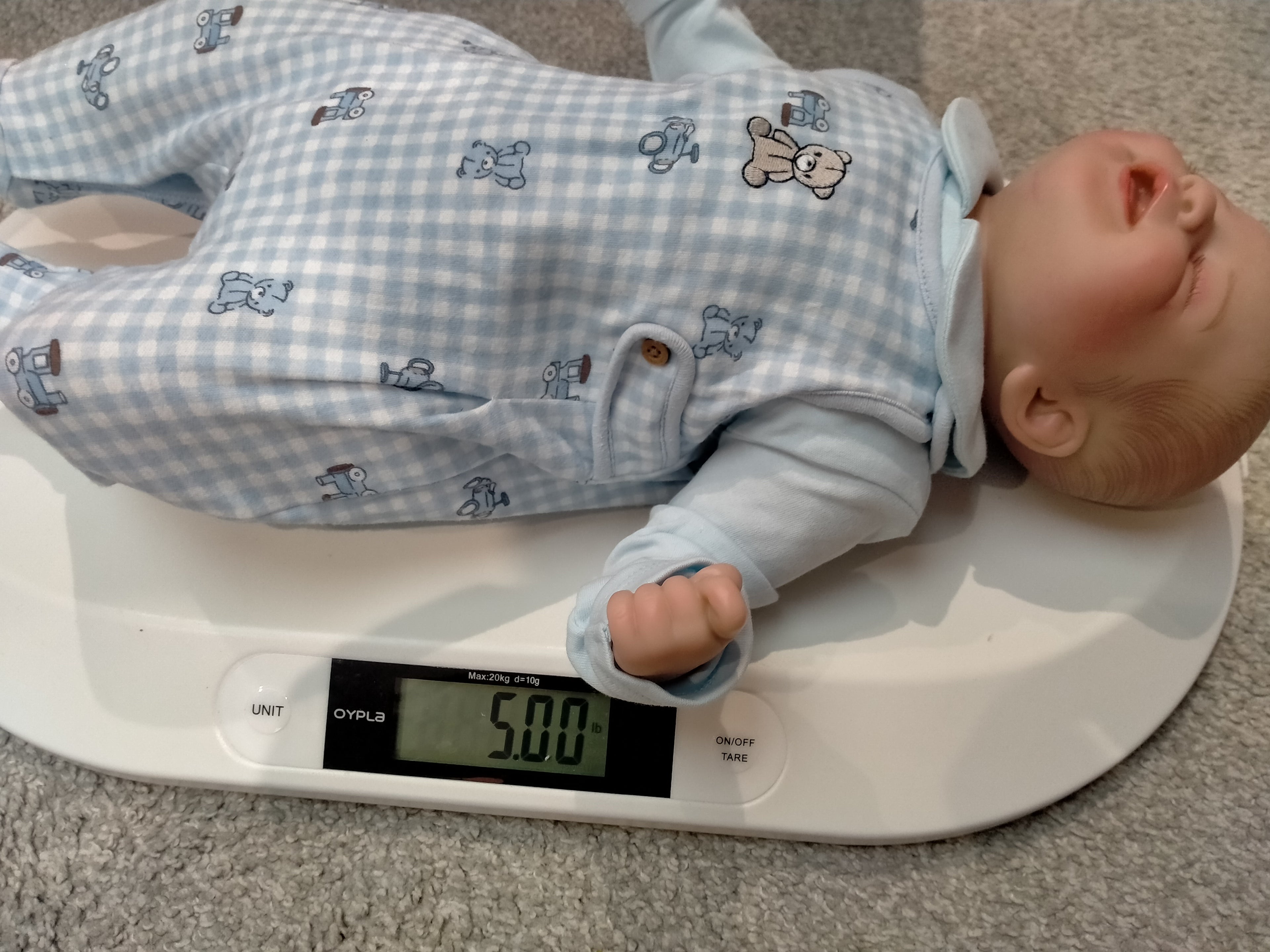 BENNY Charming reborn Doll boy  Professionally weighted
