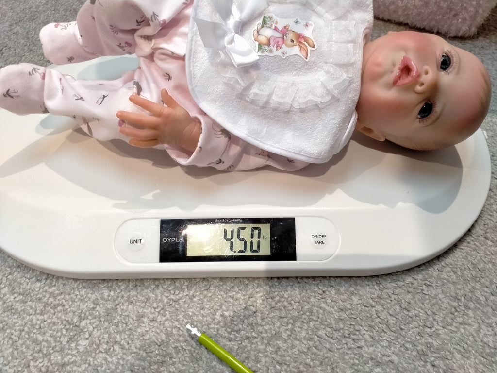 ROSE Reborn doll Girl By Laura Lee Eagles