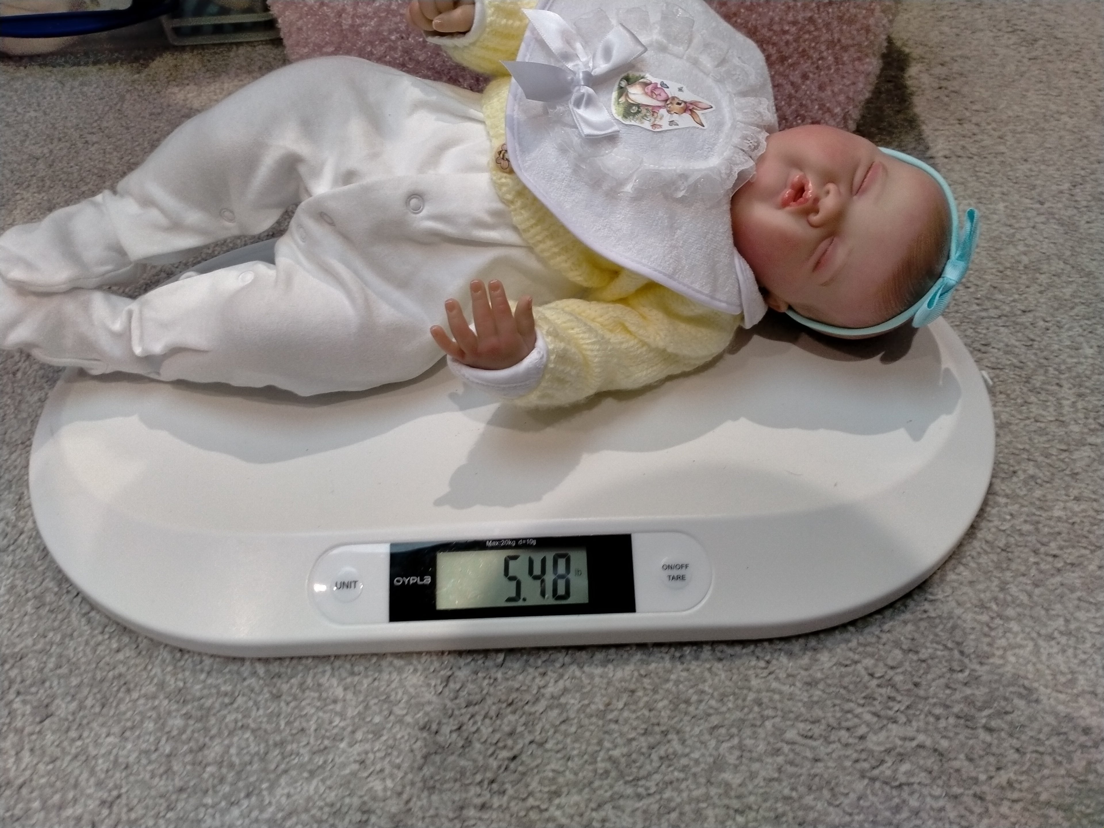 ZARA❤️Beautiful reborn doll girl.