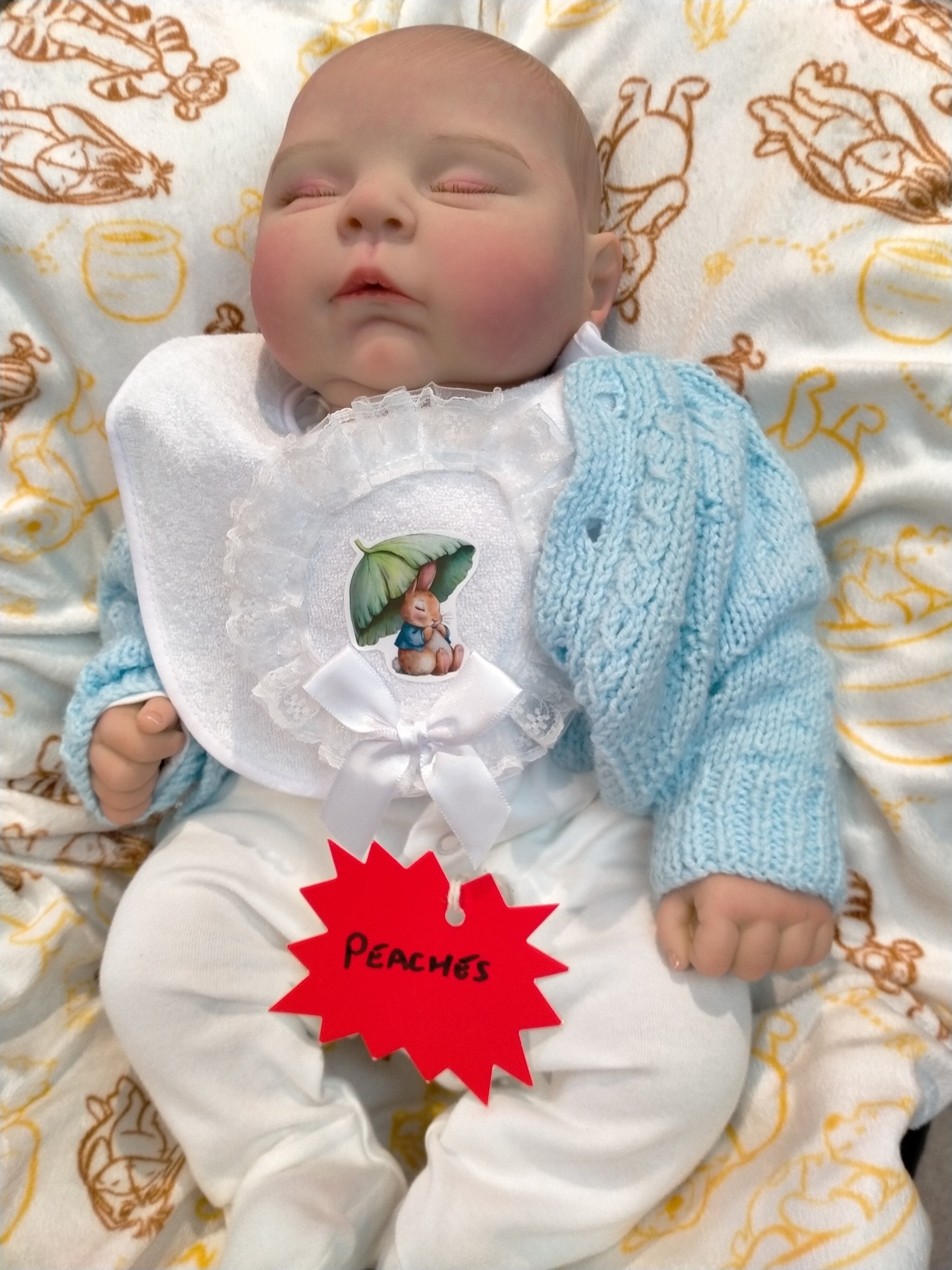 PEACHES By Cassie Brace reborn doll girl.