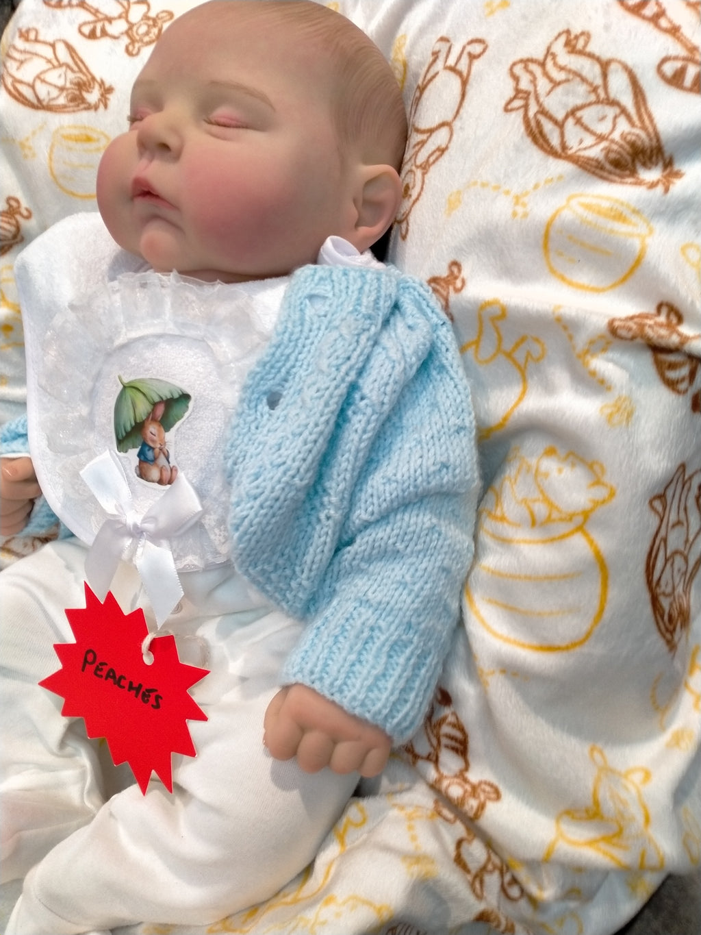 PEACHES By Cassie Brace reborn doll girl.