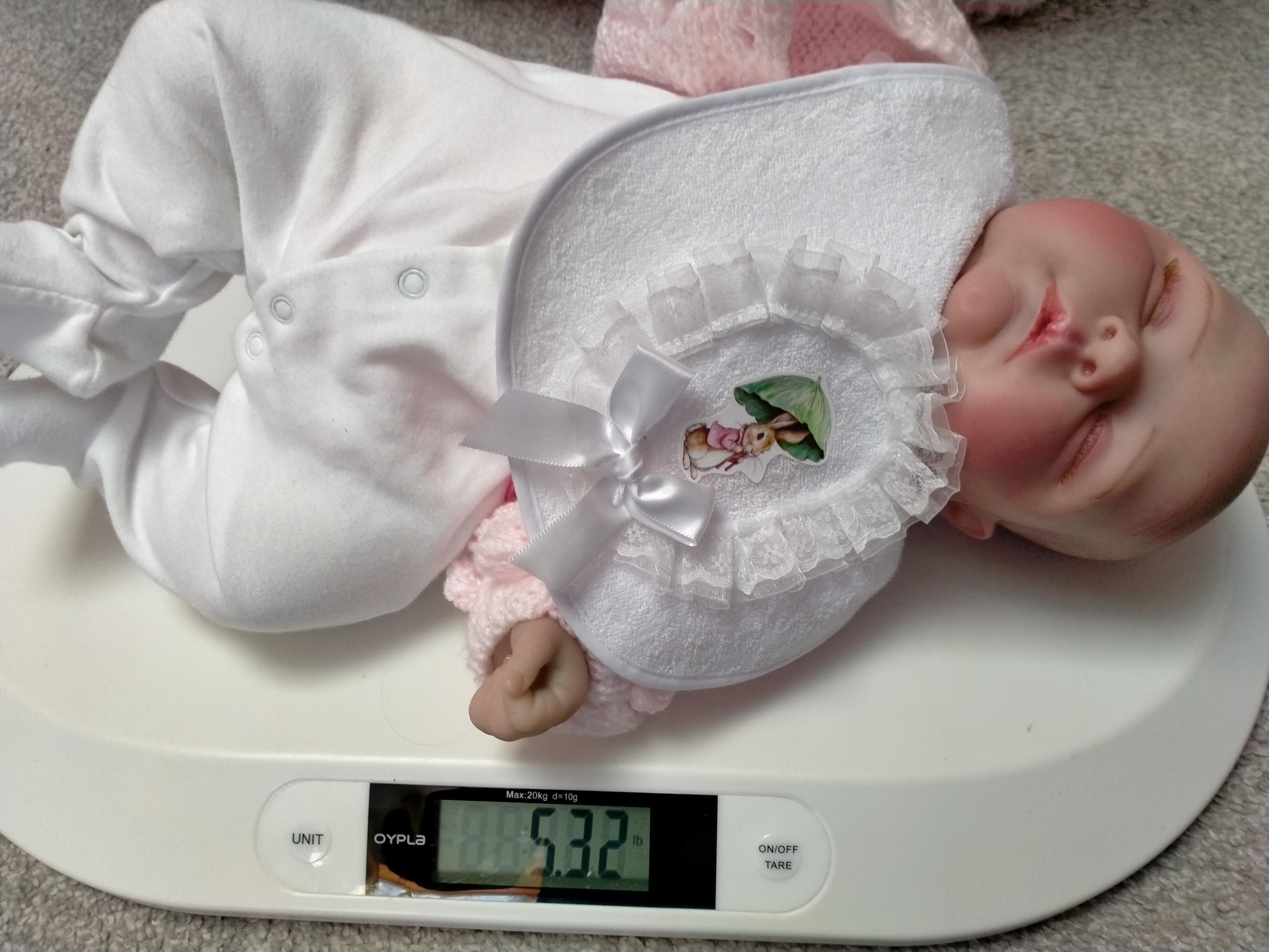 PARIS Beautiful reborn doll girl. Nicely Weighted