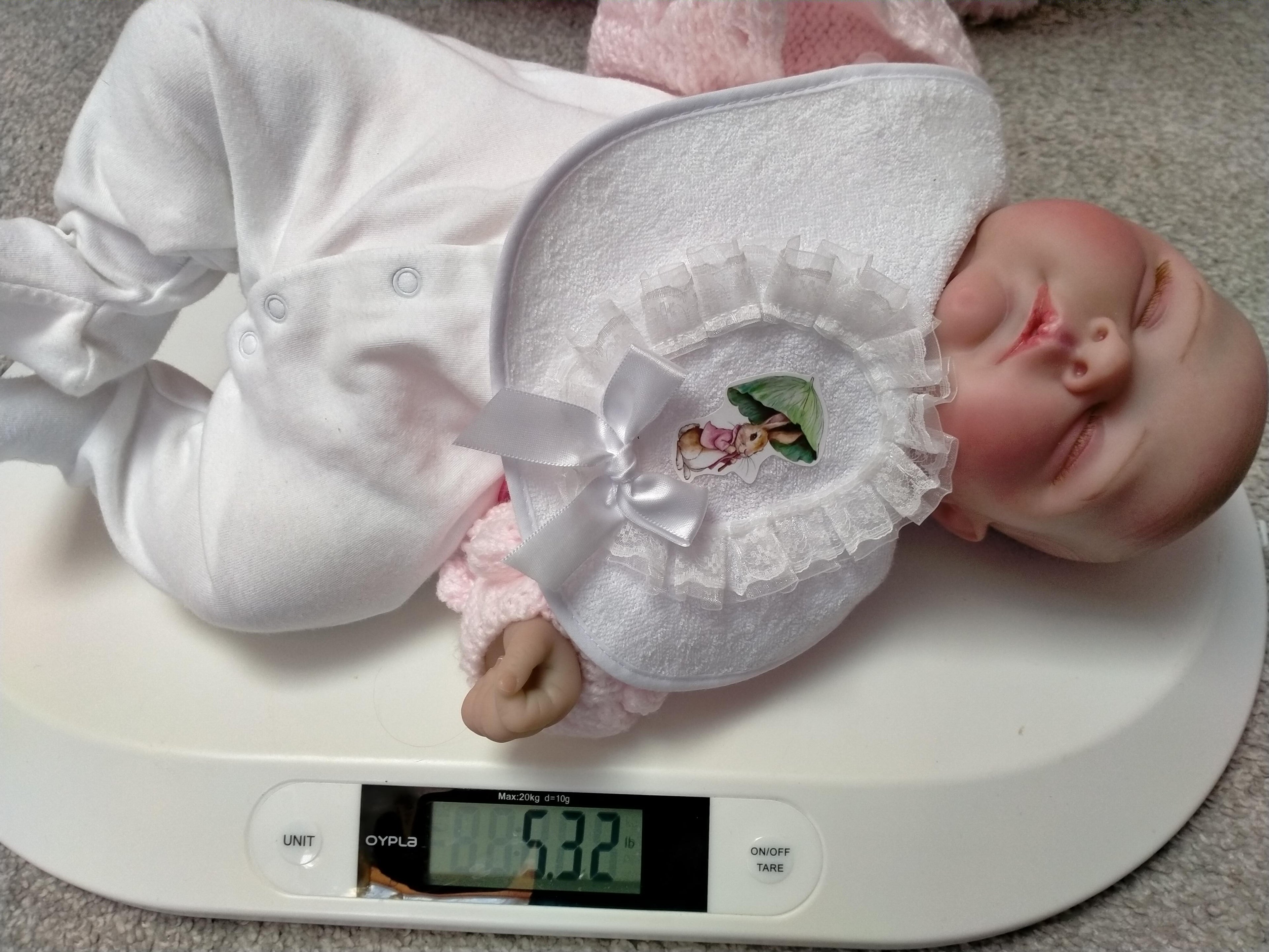 PARIS Beautiful reborn doll girl. Nicely Weighted
