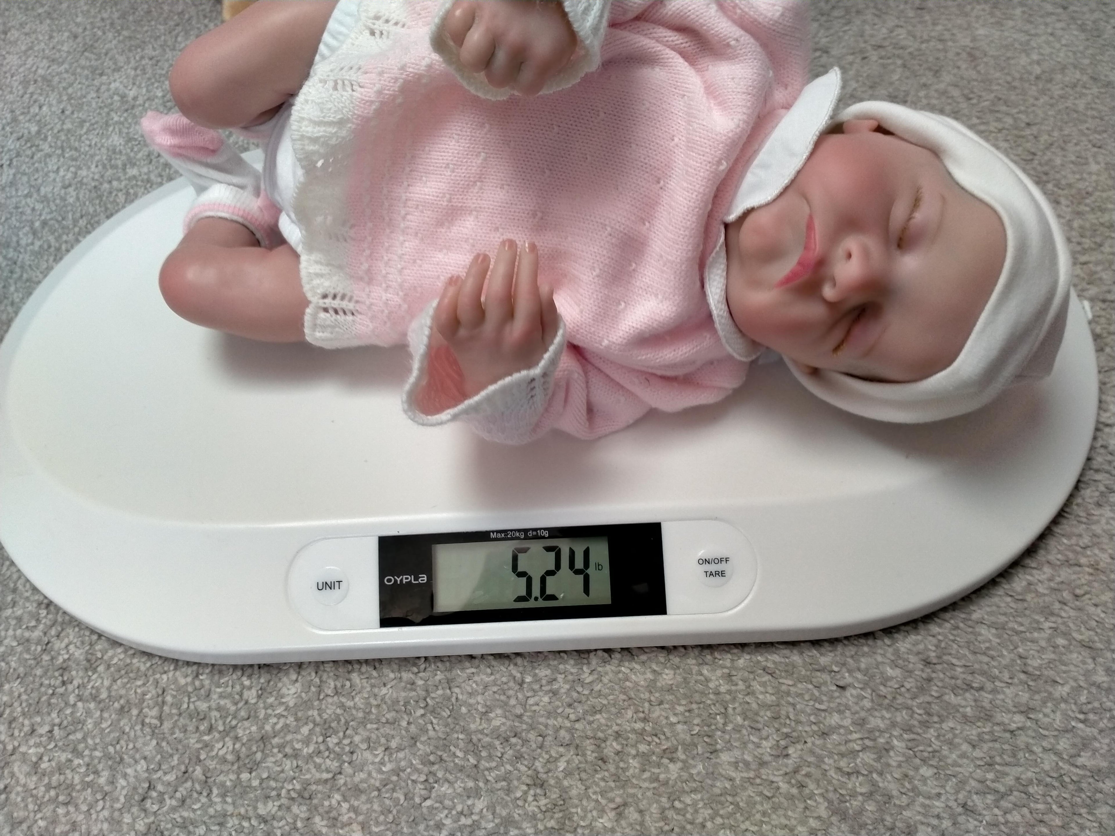 PAIGE Beautiful reborn doll girl. Nicely Weighted