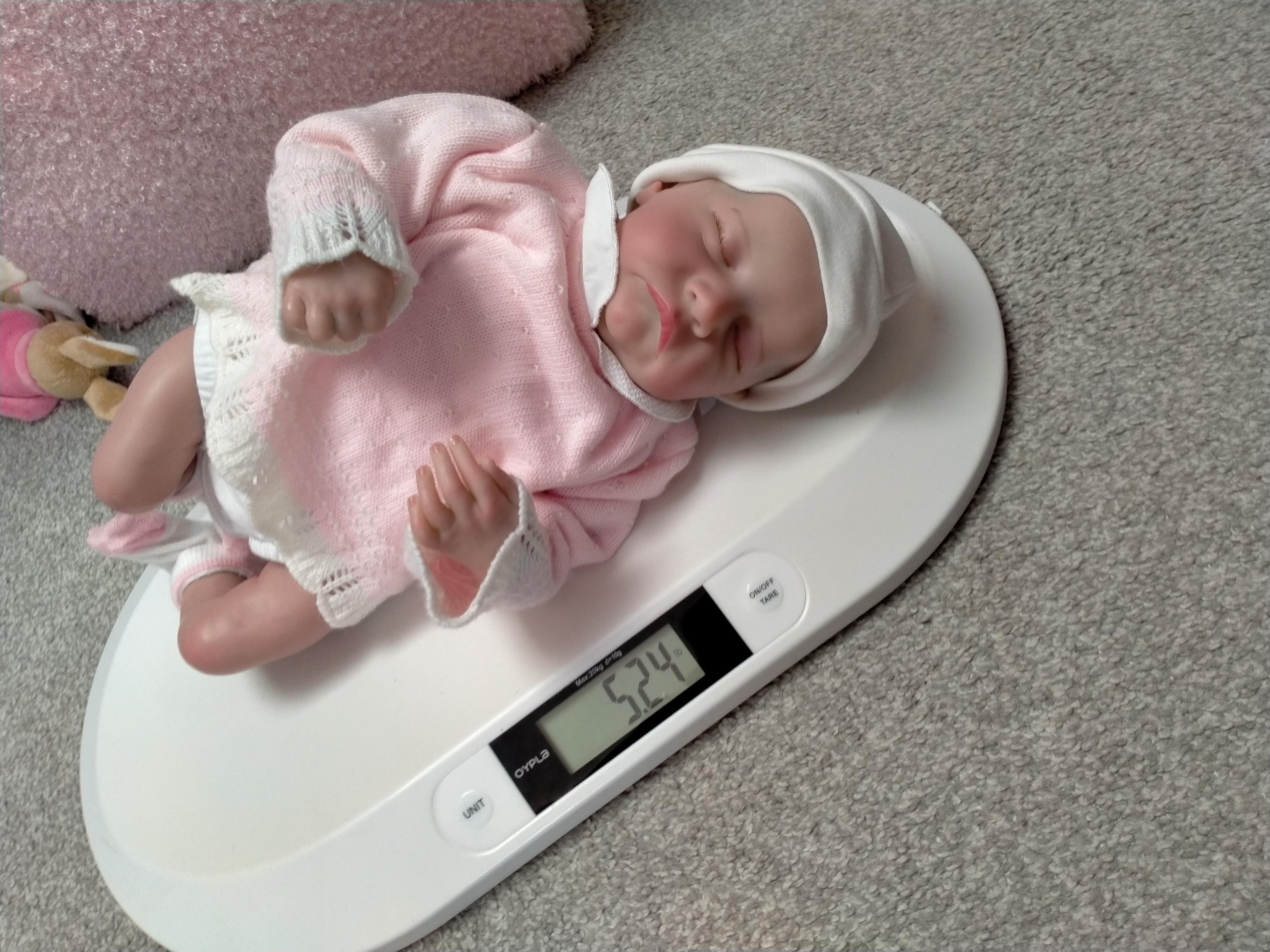 PAIGE Beautiful reborn doll girl. Nicely Weighted