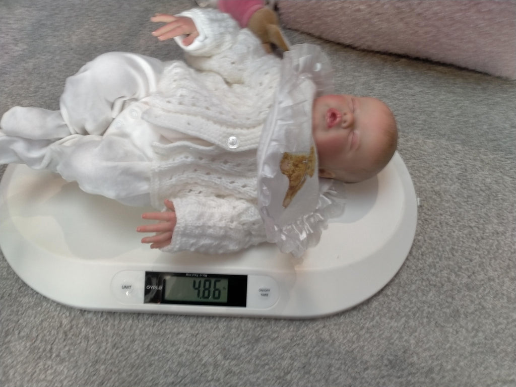 SIENNA Reborn doll girl. By Laura Lee Eagles Weighted