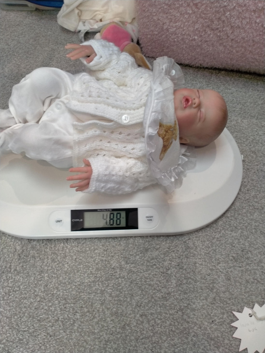 SIENNA Reborn doll girl. By Laura Lee Eagles Weighted