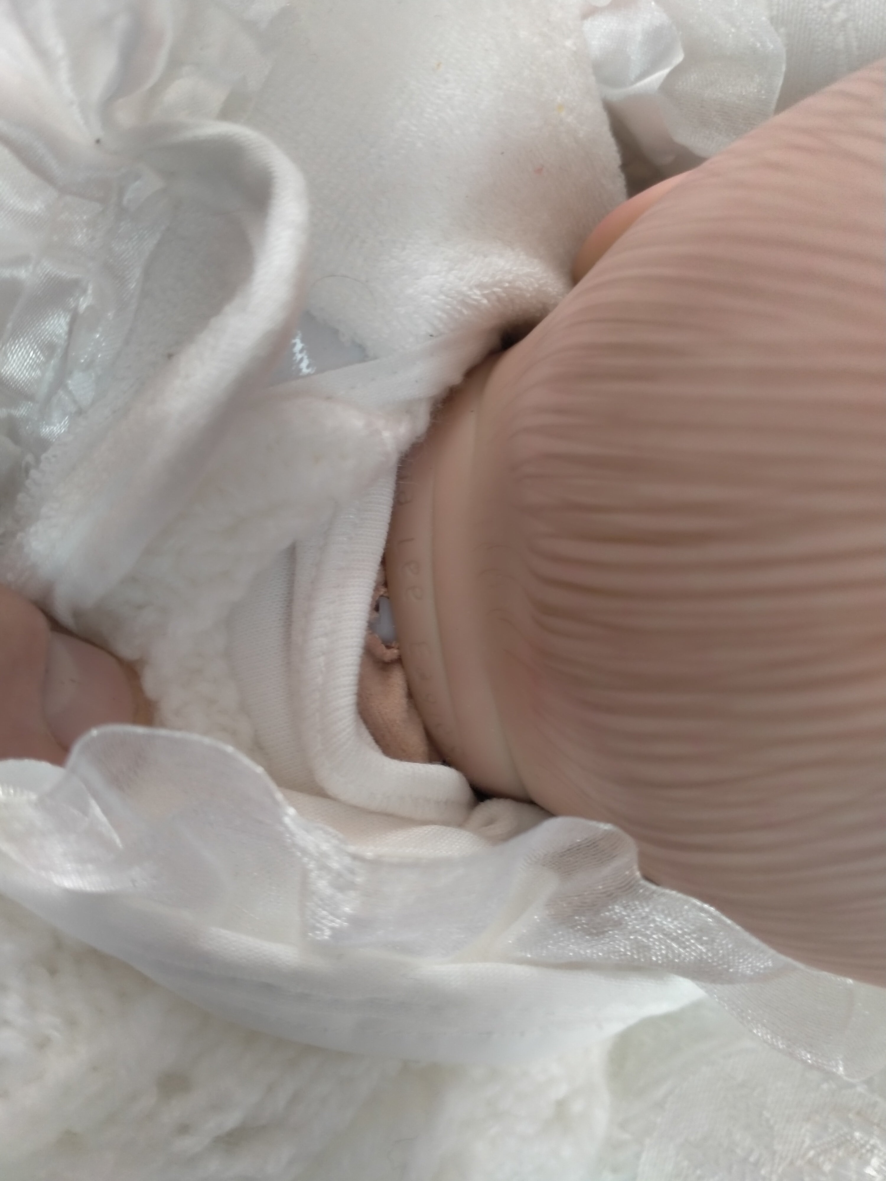 SIENNA Reborn doll girl. By Laura Lee Eagles Weighted