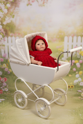 Bess in pushchair