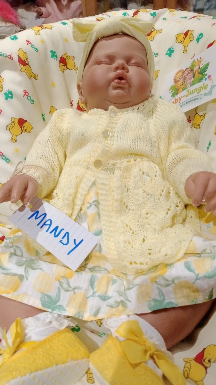 MANDY  Pretty reborn doll girl Pickle by Nikki Johnson Nicely weighted