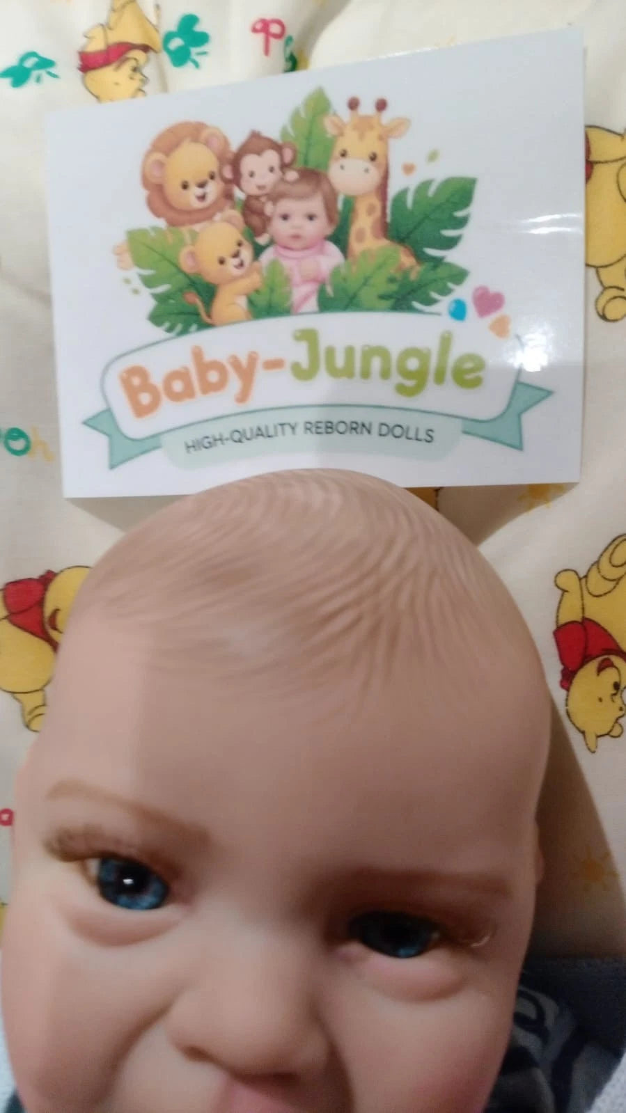 KENNY Tru-born HANI Reborn doll Boy Nicely weighted