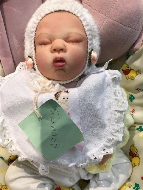 Sonnett by Bountiful Baby Nicely Weighted