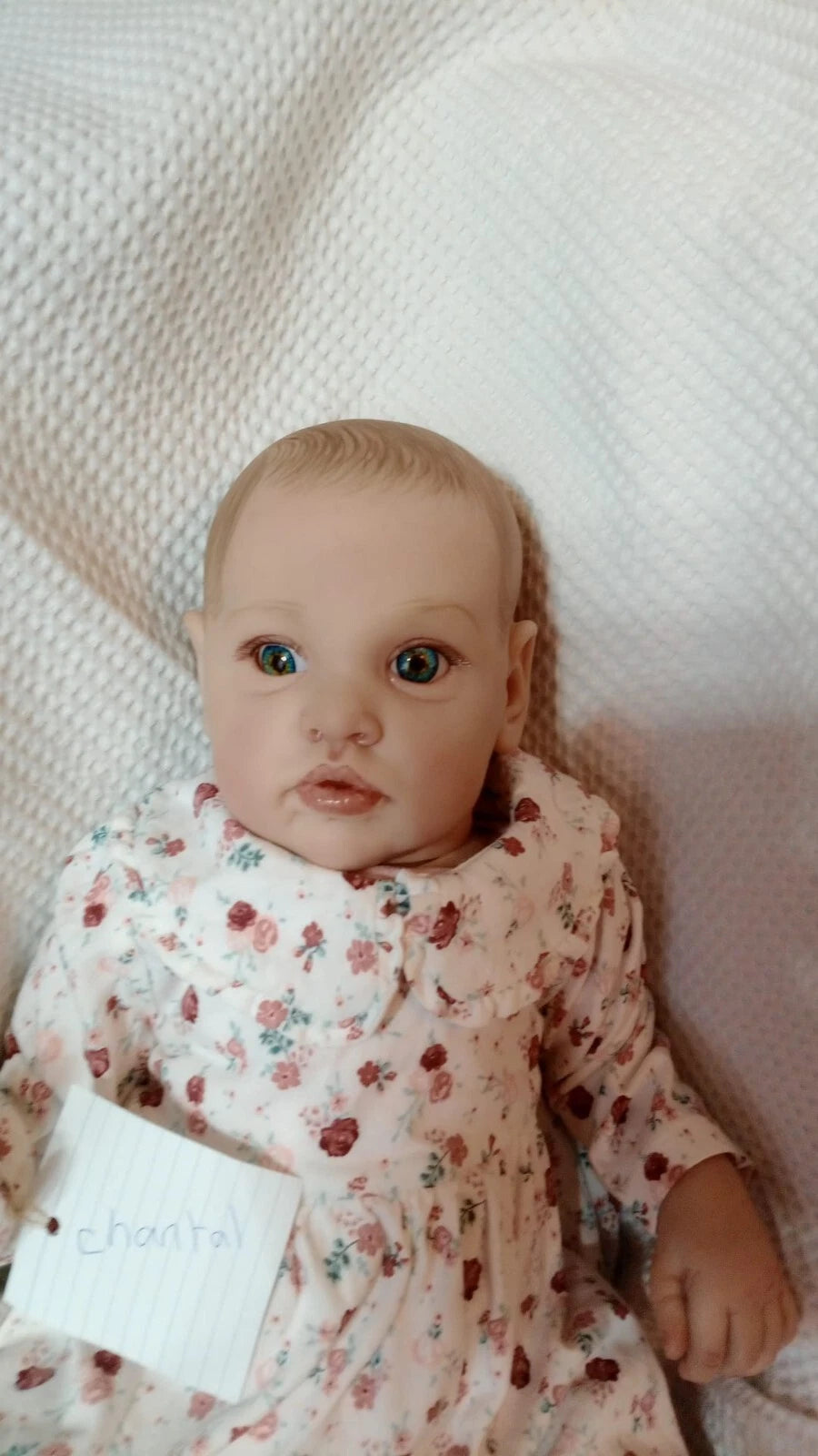 CHANTAL Beautiful reborn doll girl