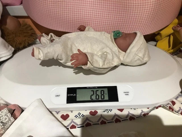 CORA ❤️Full body Platinum Silicone Girl 12" 31cm 2.68lbs 1.22kgs Hand painted❤️