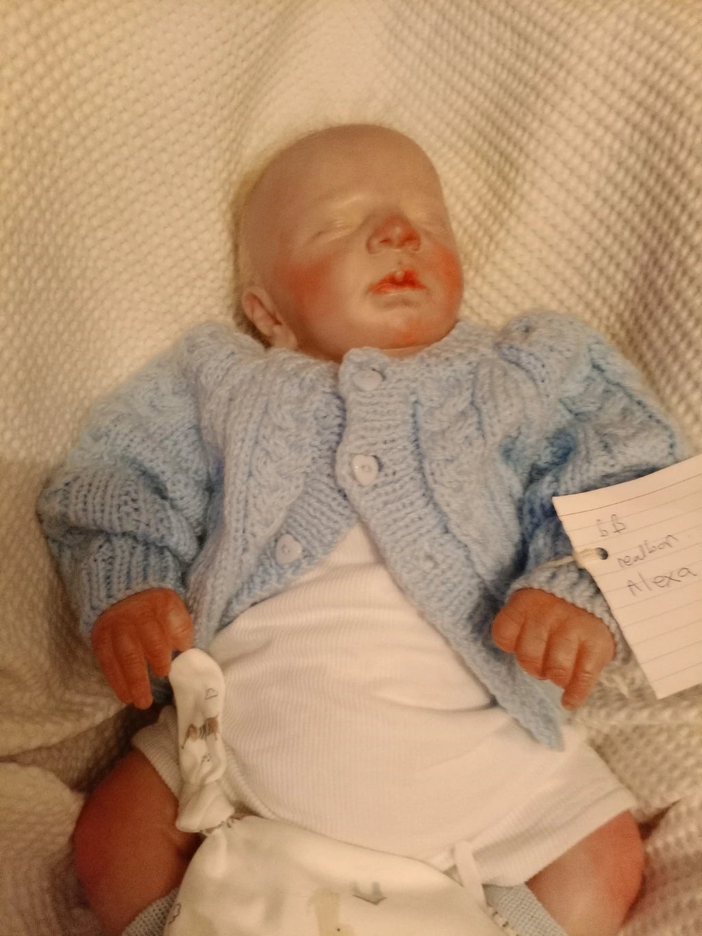 ALEXA reborn girl Bountiful baby Realborn Alexa asleep