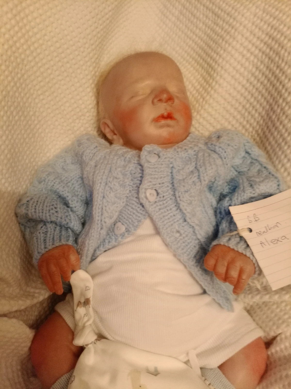 ALEXA reborn girl Bountiful baby Realborn Alexa asleep