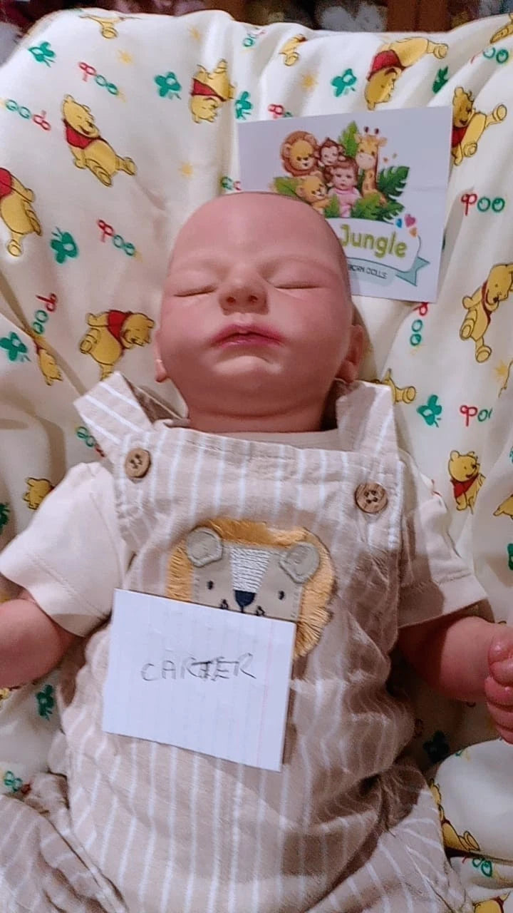 CARTER❤️Reborn doll Boy by Ashten Bryant