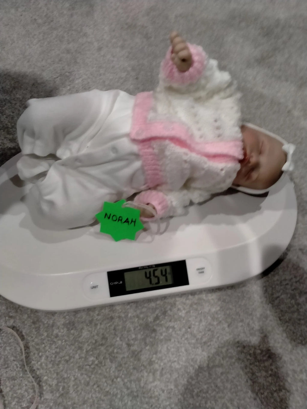 NORAH Sweet reborn doll girl Professionally weighted
