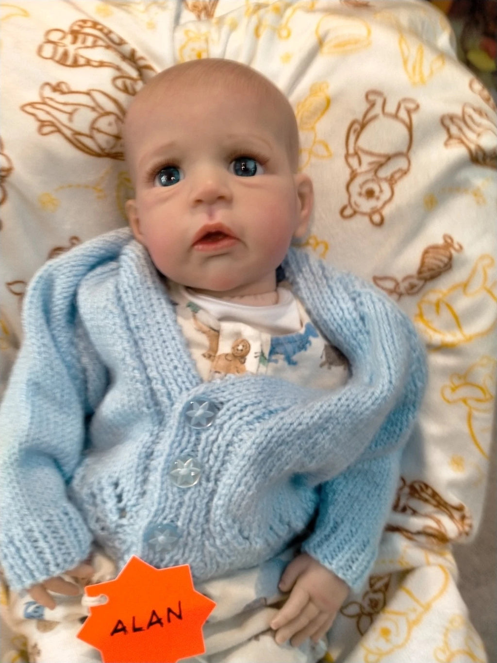 ALAN❤️reborn doll Boy by Joanna Kazmierczak