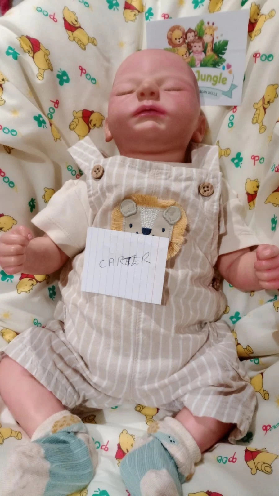 CARTER❤️Reborn doll Boy by Ashten Bryant